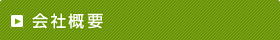 ЊTv